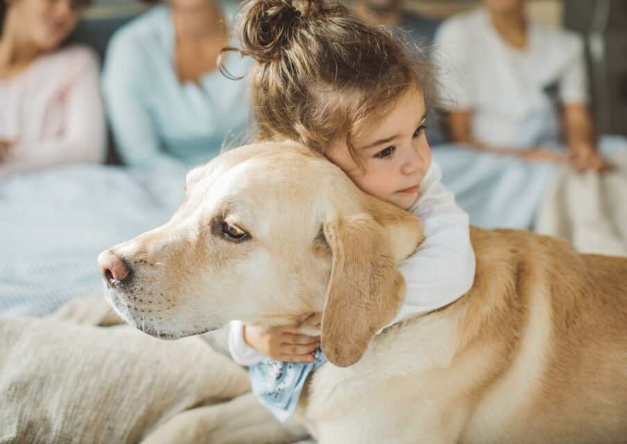 L’éthique animale sera au programme d’EMC du CP pour la rentrée 2024