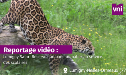 Lumigny Safari Reserve : un parc animalier au service des scolaires