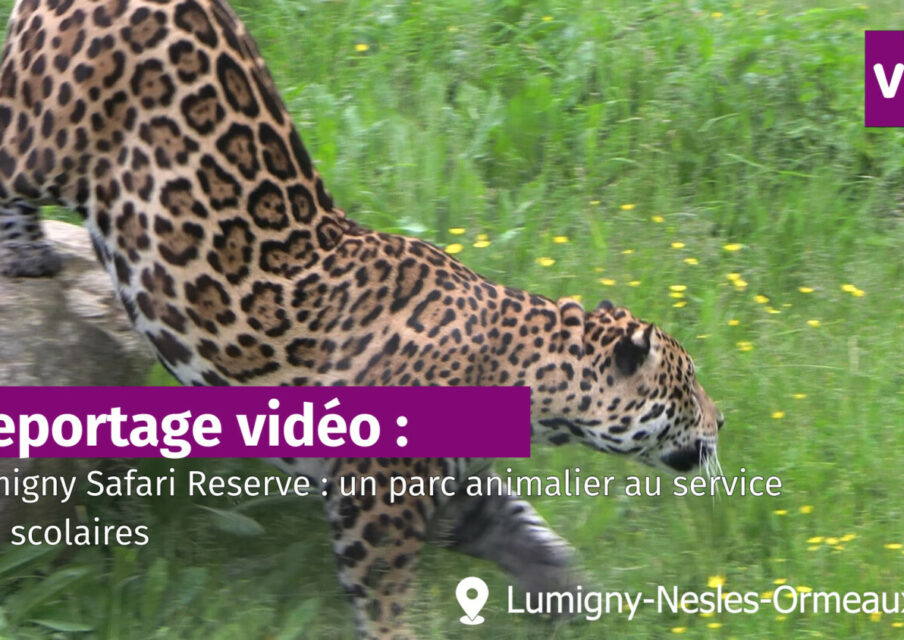 Lumigny Safari Reserve : un parc animalier au service des scolaires