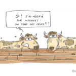 Les vaches pondent des oeufs, c’est l’IA qui le dit !!