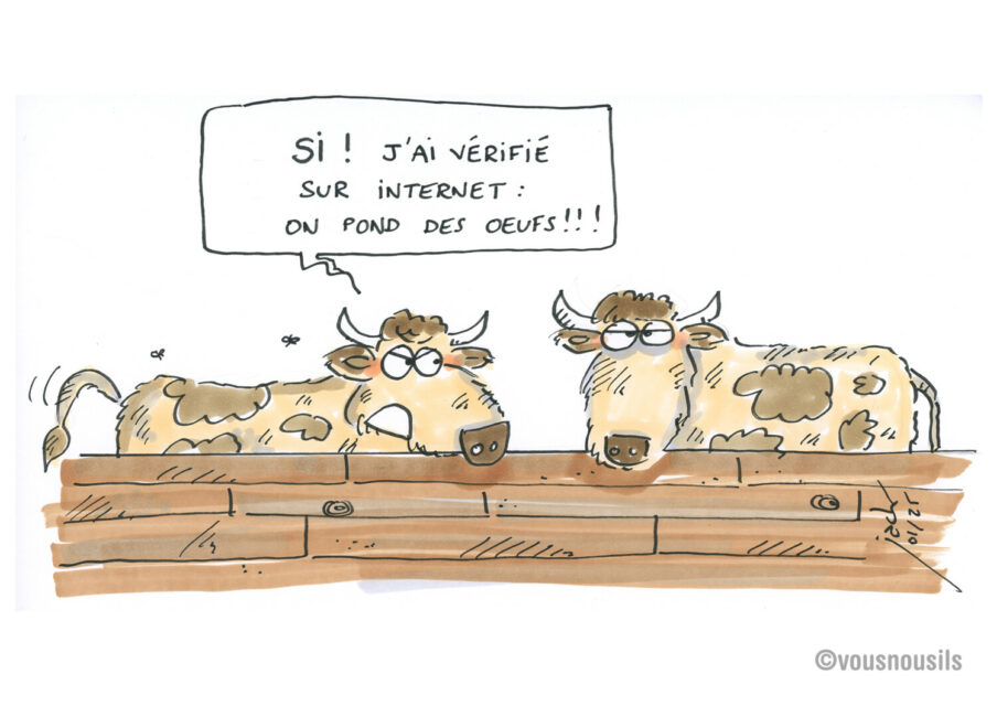 Les vaches pondent des oeufs, c’est l’IA qui le dit !!